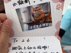 -艾贝尔宠物医院·24H转诊中心·肿瘤猫专科(江宁双龙店)