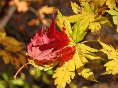 -本溪老边沟风景区