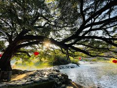 -云水谣景区