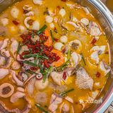 实现吃鱼自由，盆盆十斤，满足你所有鱼肉幻想