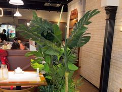 -三猫黑鱼花(南大店)