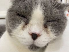 -共舞时光猫咖·狗咖(新街口店)