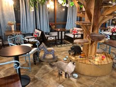 大堂-共舞时光猫咖·狗咖(新街口店)