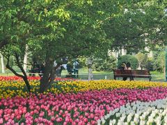 -长春公园(普阳街道)