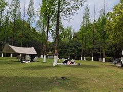 -成都南湖公园