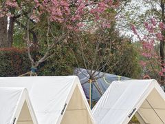 -梁鸿国家湿地公园