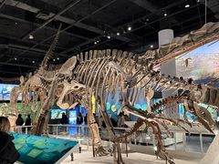 -国家自然博物馆