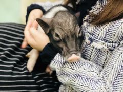-藦茜花园宠物主题亲子互动体验馆(国顺东路店)