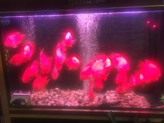 -江南玥养生公馆(宝山店)