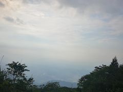 -武陵山森林公园
