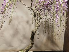 -双季花艺园艺市场(浦东店)