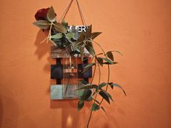 -泰古龙抓龙筋·spa按摩(静安店)