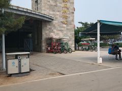 -石家庄市植物园