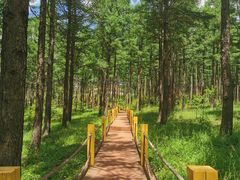 -塞罕坝国家级自然保护区