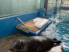 -成都浩海立方海洋公园