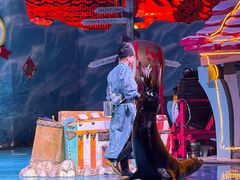 -大连圣亚海洋世界