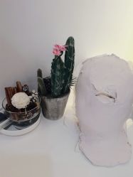 -VE专注问题肌·赛诺龙&科学美肤中心