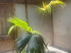 -院子餐厅·大锅菜·老杭帮(桥西直街店)