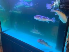 -肆月河豚·淮扬菜·湘菜(华天店)