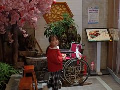 -杏花村水席楼·洛阳水席(老城十字街店)