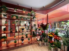 -二酉书店TOYOU BOOKS