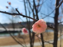 -艾山风景名胜区