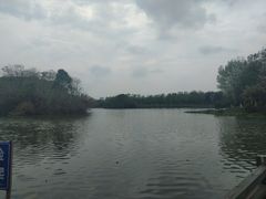 -艾溪湖湿地公园