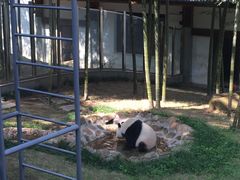 -天目湖御水温泉·度假酒店