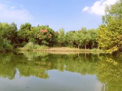 -梁鸿国家湿地公园