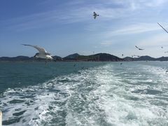 -海驴岛(荣成市)