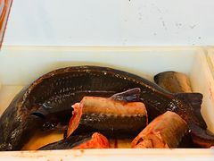 -江湖水乡铁锅炖魚(周庄嘉园店)