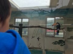 -西霞口神雕山野生动物世界