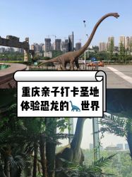 -恐龙探索乐园(磁器口店)
