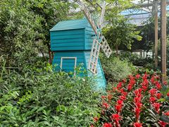 -南宫五洲植物乐园