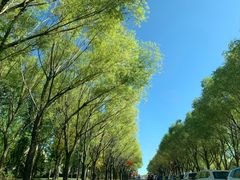 -亿利库布其七星湖沙漠生态旅游区