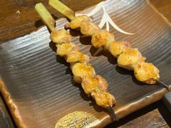 -鸟鹏烧鸟居酒屋(龙岗万科店)