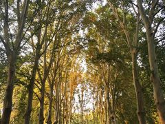 -河南省黄河迎宾馆