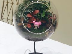 -TANING挞柠·手挞柠檬茶(顺德东乐旗舰店)