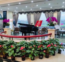 -中华园大饭店·宴会厅