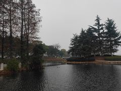 -金银湖国家城市湿地公园