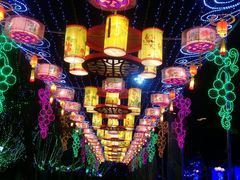 -大亚湾红树林城市湿地公园