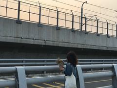 -海堤纪念公园