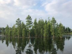 -白鹭湾湿地公园