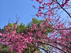 -南北湖风景区