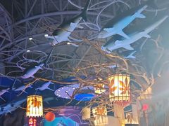 -烟台海昌鲸鲨海洋公园