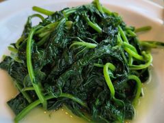 -圆苑(金茂店)