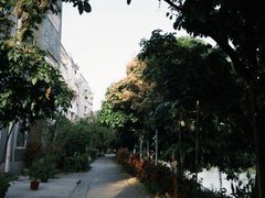 -黄埔古港