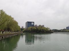 -天鹅湖体育公园