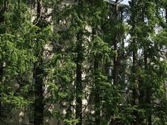 -一尺花园(安和花园店)