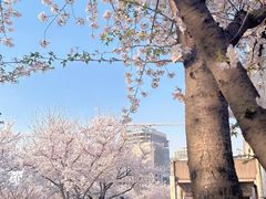 -龙美术馆(西岸馆)